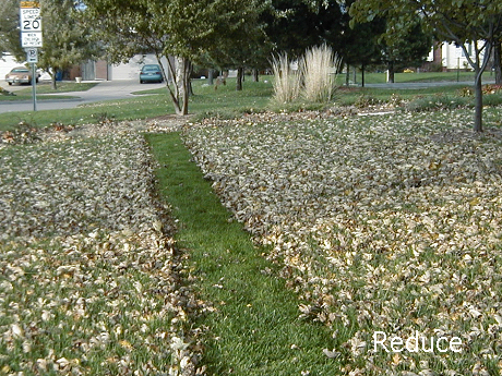 Mulch Mower Strip