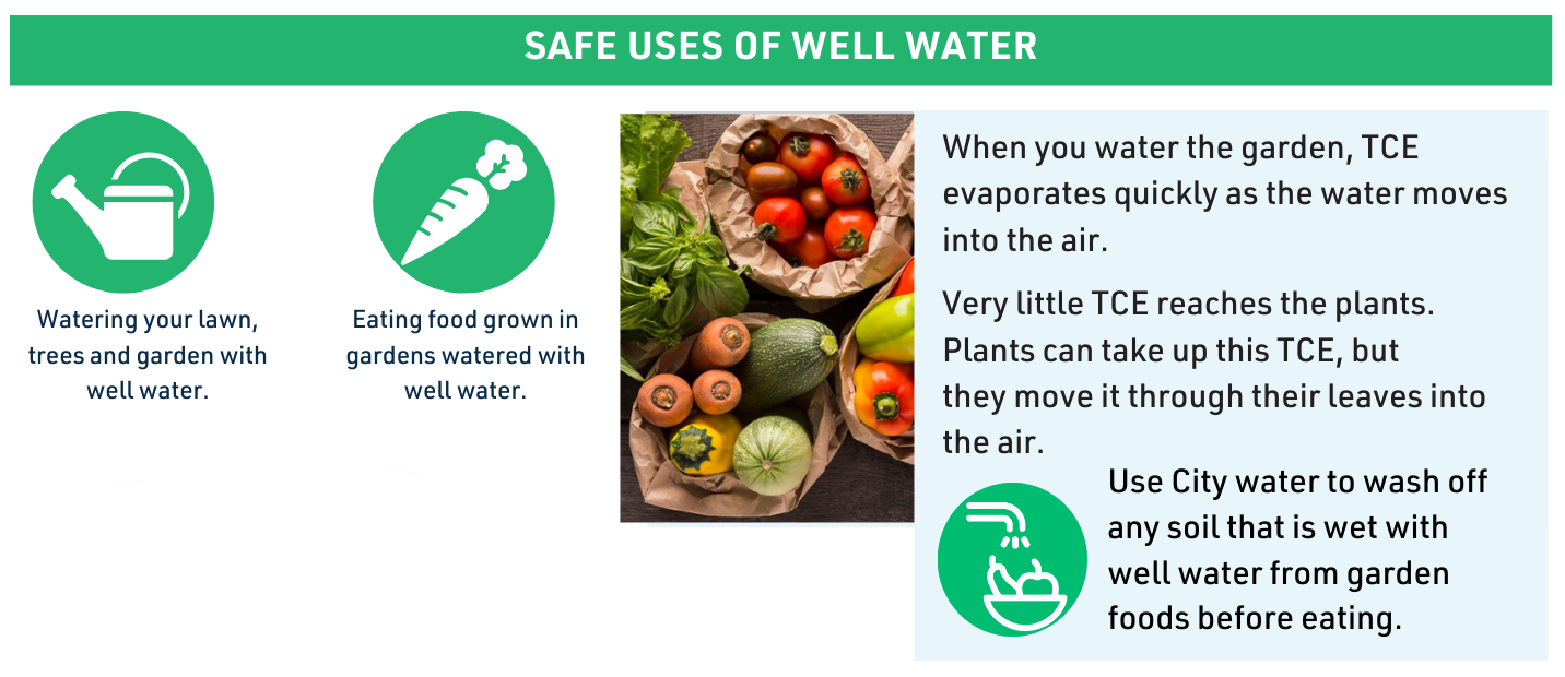 SAFE USES OF WELL WATER

Watering your lawn, trees and garden with well water.
Eating food grown in gardens watered with well water.

When you water the garden, TCE evaporates quickly as the water moves into the air.
Very little TCE reaches the plants. Plants can take up this TCE, but they move it through their leaves into the air.