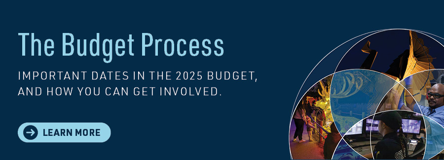 The Budget Process