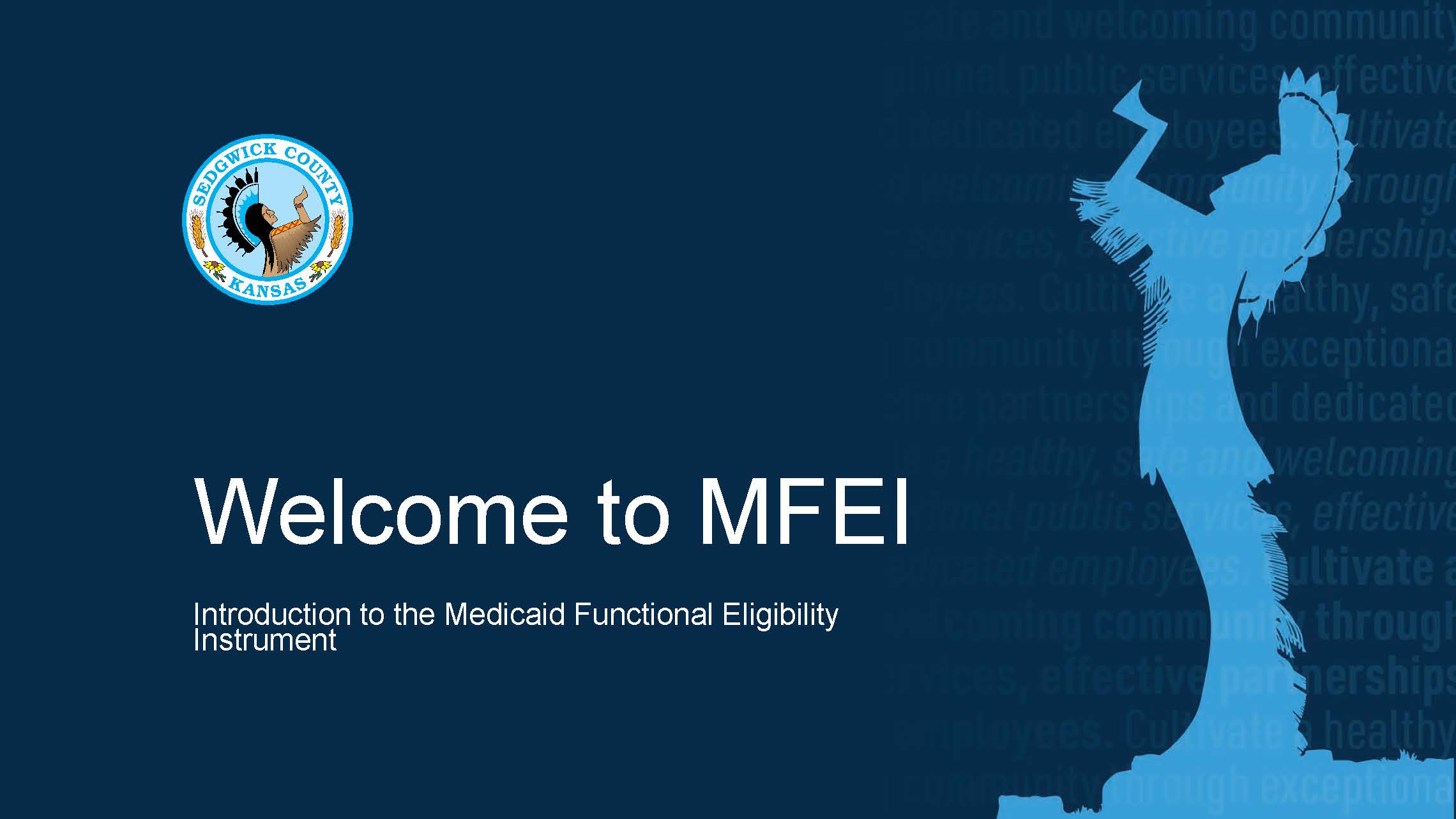 Welcome to the Medicaid Functional Eligibility Instrument (