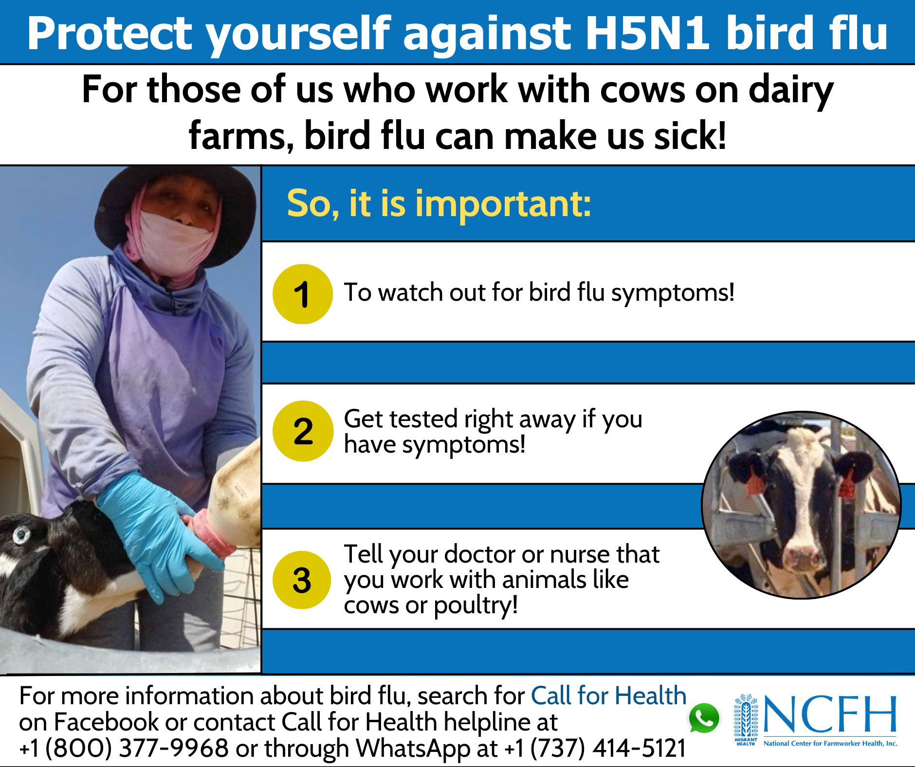 Farmworker poster about protecting yourself from bird flu.